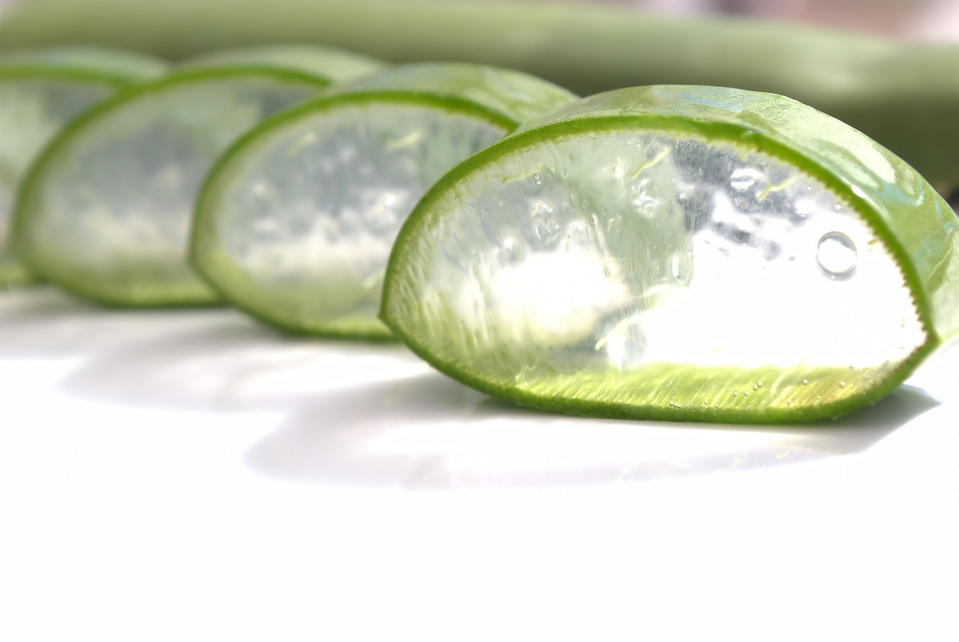 アロエの断面の拡大写真